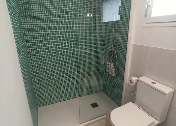 Cactus * Bajamar (La Laguna)