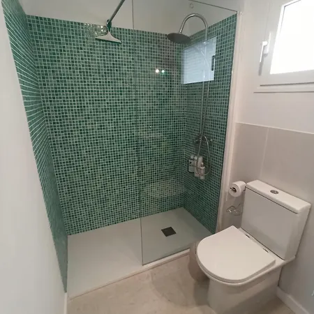 Cactus * 바하마르